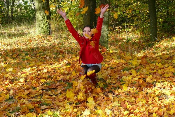 Прогулка в осеннем парке Лесном