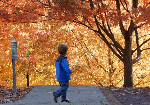 Мальчик в парке