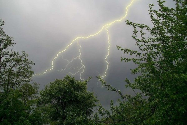 Лето гроза
