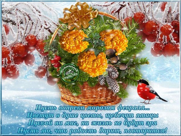 Доброго здоровья и хорошего зимнего дня