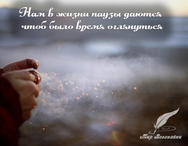 Высказывания про паузу