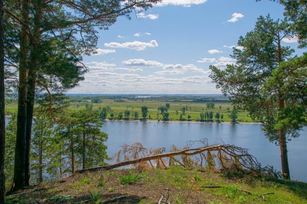 Танаевский лес Елабуга