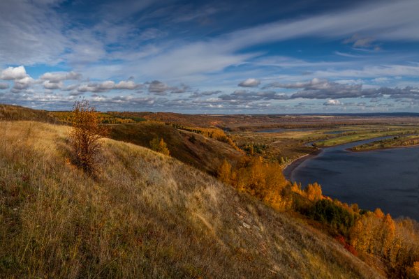Танаевский лес Елабуга