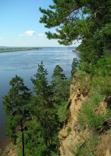 Танаевский лес Елабуга