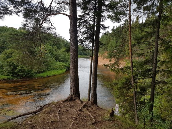 Парк нижняя Кама Татарстана