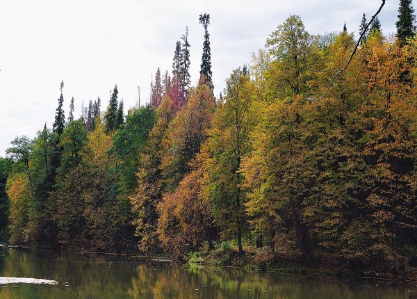 Национальный парк нижняя Кама