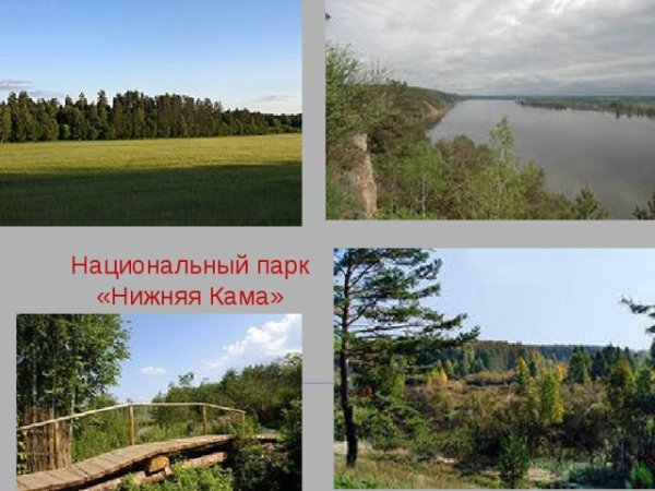 Национальный парк нижняя Кама Татарстан