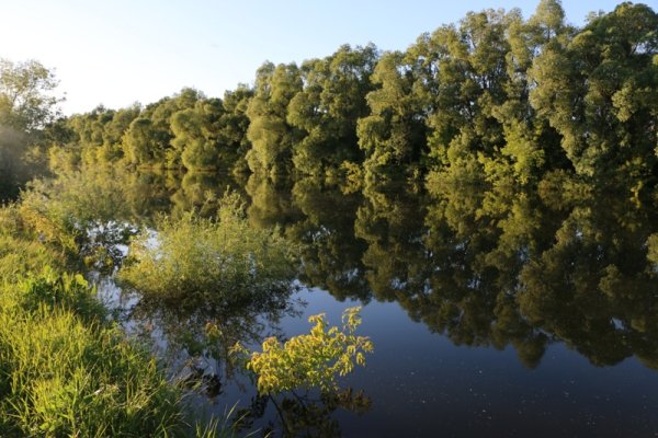 Природа заповедника нижняя Кама