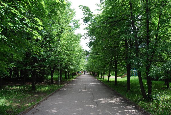 Парк ботаника Орел