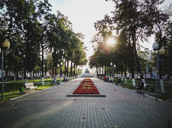 Аллеи в городе Орле