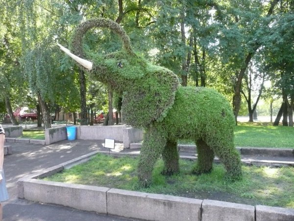 Город Орел парк