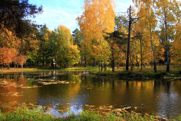 Выксунский парк Лебединка