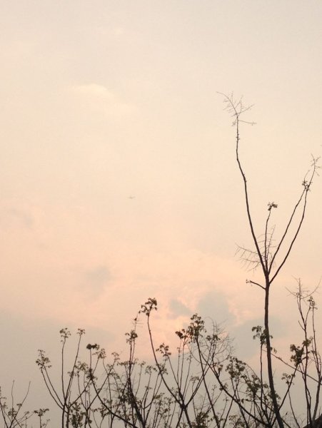 Эстетичные картинки