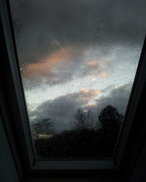 Дождливый вид из окна