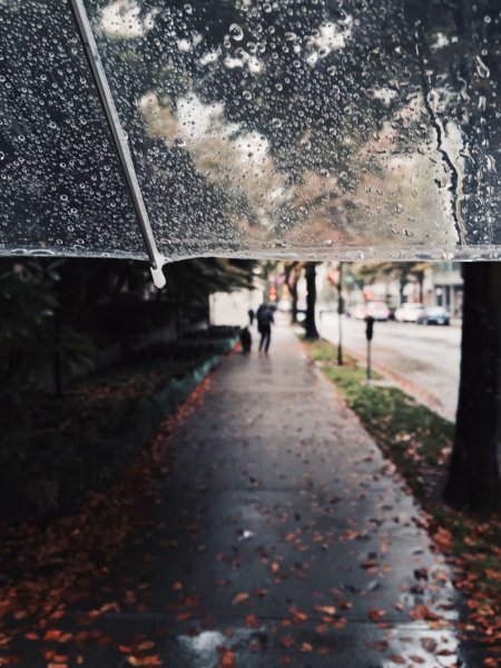 Дождь пасмурно