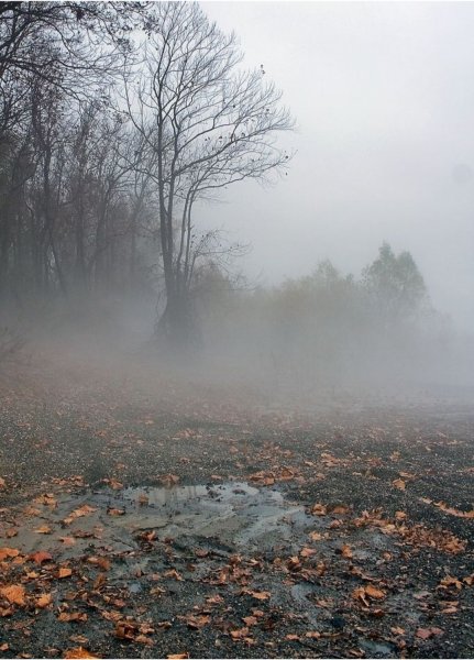 Туман осенью