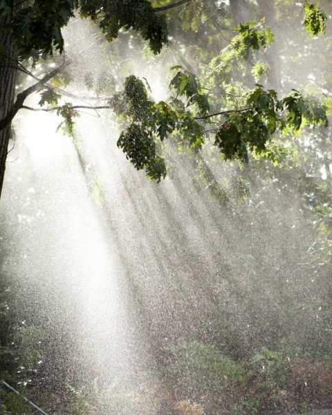 Природа дождь