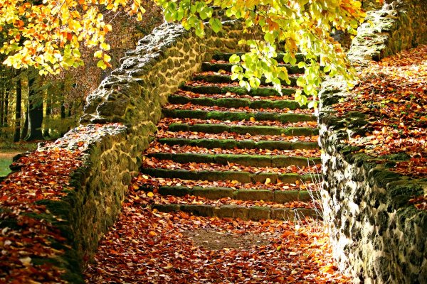 Каменная лестница в парке