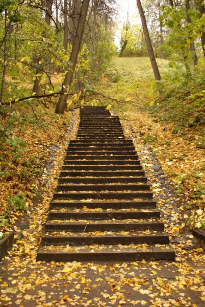 Лесенка в парке