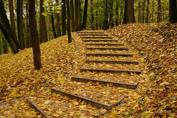 Царицынский парк лестница в лесу