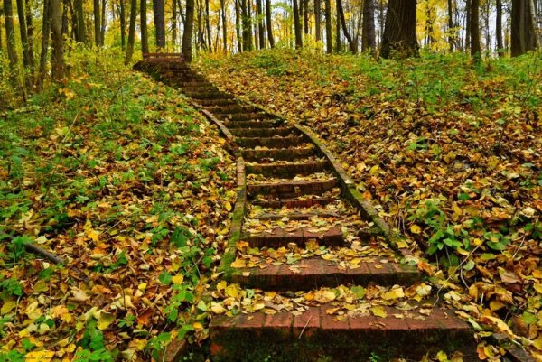 Осень лестница