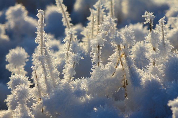 Явления природы иней