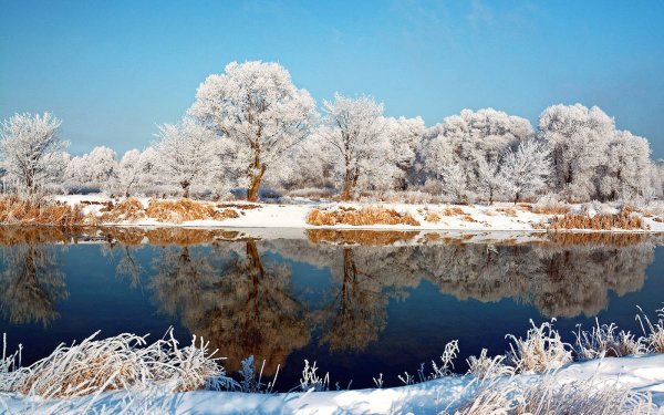 Зимний пейзаж с речкой