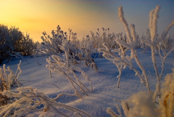 Зима Мороз природа