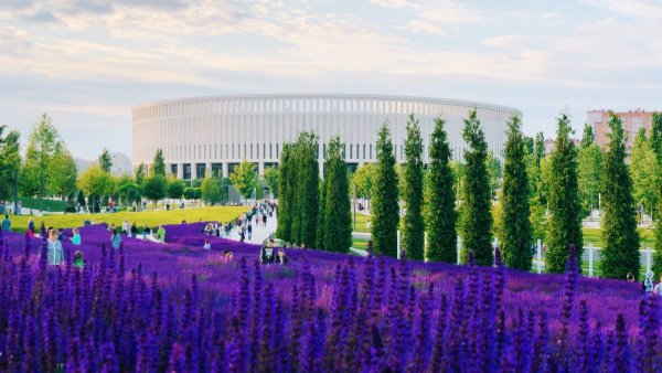 Парк Краснодар Краснодар Лаванда