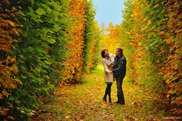 Пара осенью в парке