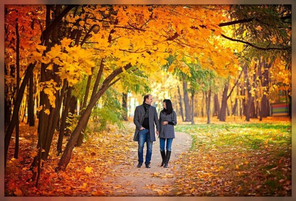 Осень пара в парке