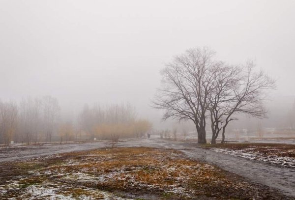 Поздняя осень в городе