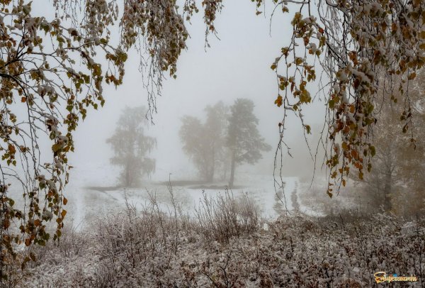 Унылая осень