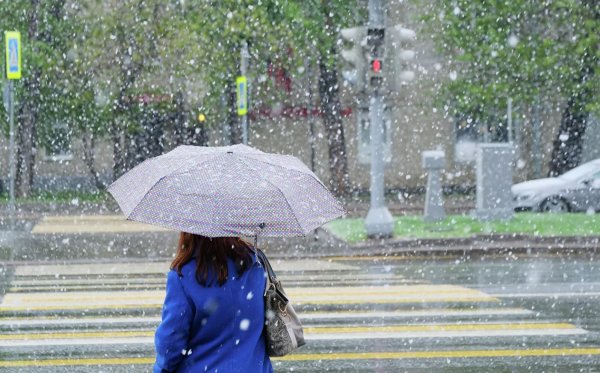 Весенний дождь