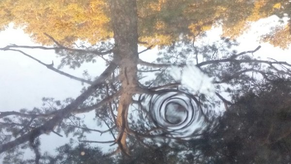 Аномалии погоды