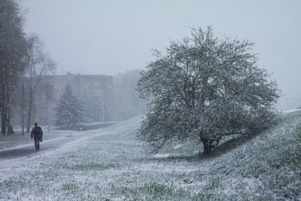 Аномальная погода