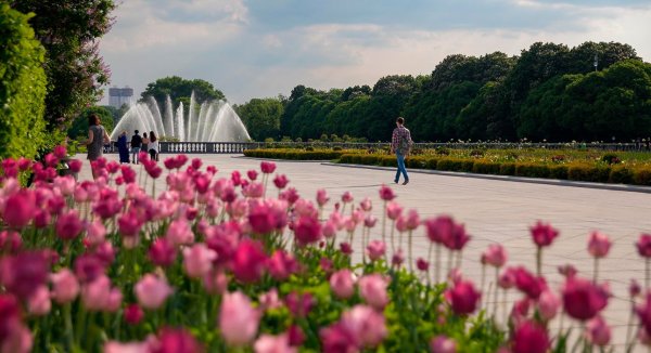 Самые красивые парки Москвы летом