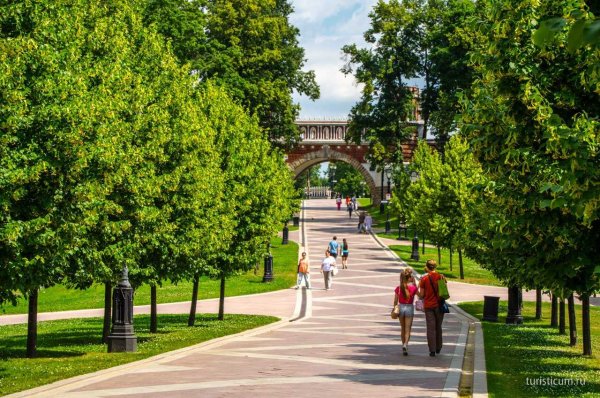 Парк Царицыно в Москве лесопарк