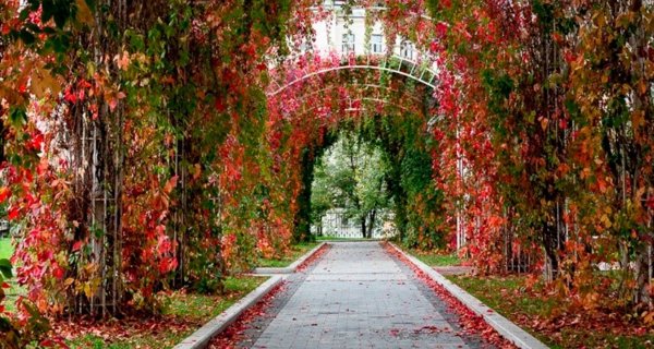 Парк имени Баумана в Москве