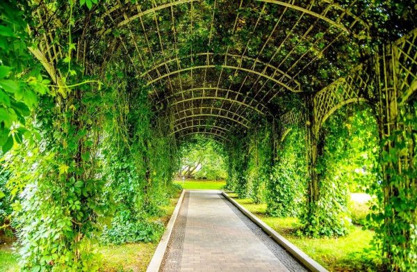 Сад Баумана Берсо