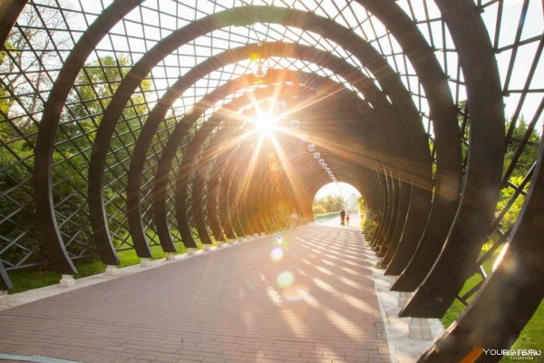 Парк Горького Москва Нескучный сад