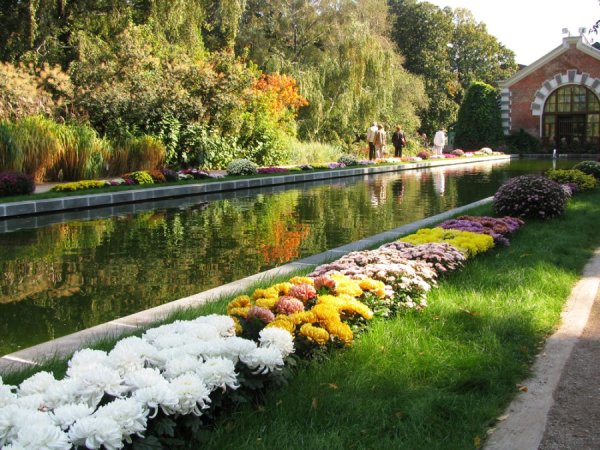 Ботанический парк МГУ Аптекарский огород