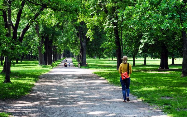 Парк Пратер в Вене зеленая зона