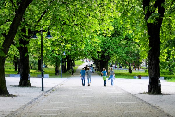 Зеленый сквер