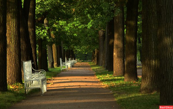 Екатерининский парк аллея
