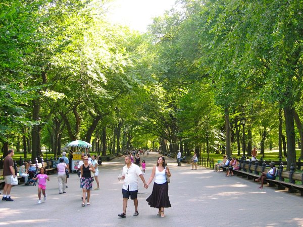 Киевский парк Центральный