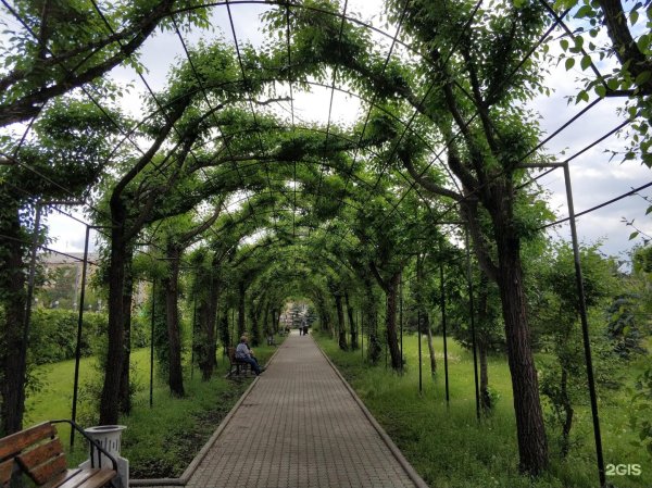 Парк имени Гагарина Красноярск