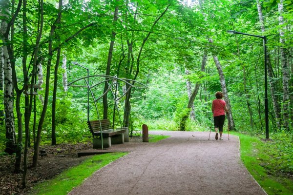 Парк Сокольники тропа
