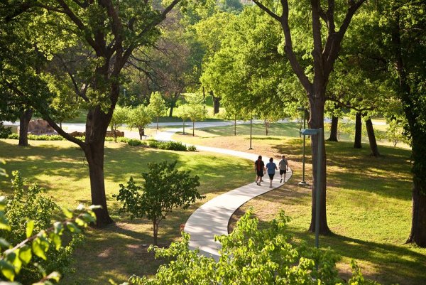 Парк города Фрязино