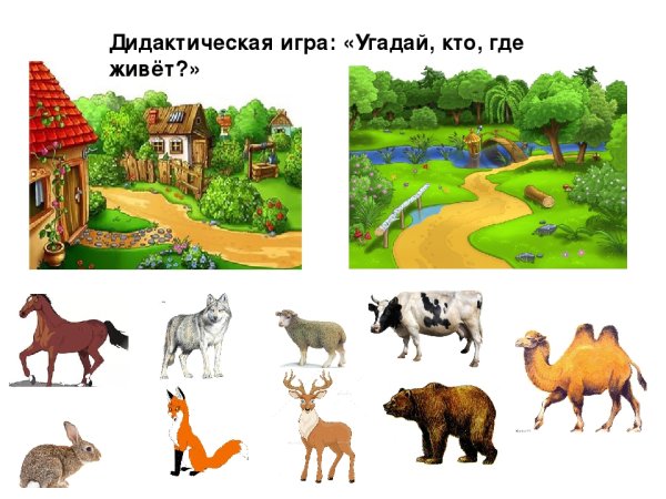 Дидактическая игра кто где живет